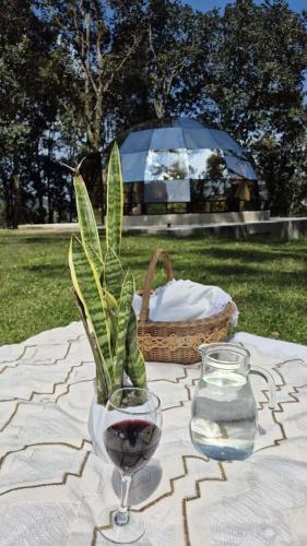Mineral Glamping Experience in Minerala del Čiko