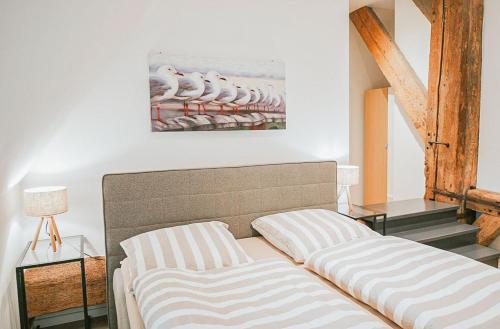 Weitblick in Kotzenbüll