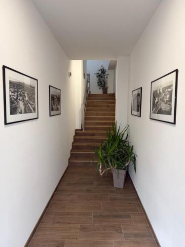 Restaurant&Rooms 035 in باراسين