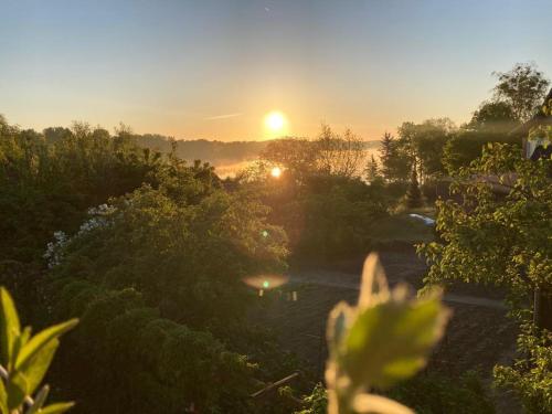 Ferienwohnung Seeblick in 烏斯特羅