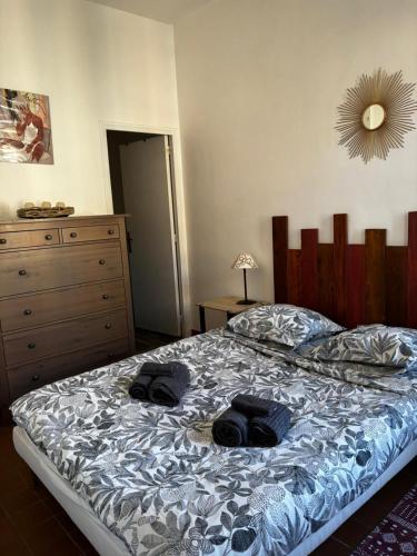 Cosy T2 - Interieur des remparts du Viel Avignon