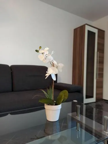 Aviva SONNENWINKEL - Ebenerdiges Juwel mit privater Gartenterrasse in Bodman-Ludwigshafen, Deutschland