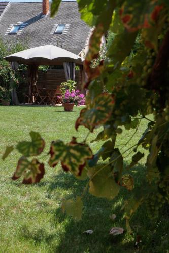 Garden, Nyirfa Apartmanhaz in Sarvar