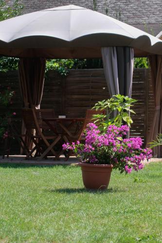 Garden, Nyirfa Apartmanhaz in Sarvar