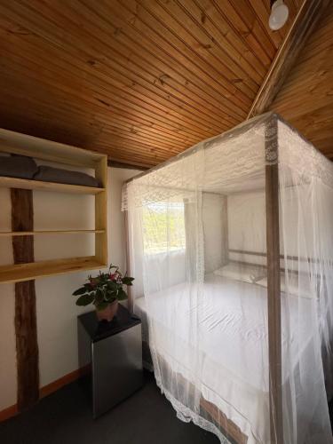 Hostel Caraivando in กาไรย์วา
