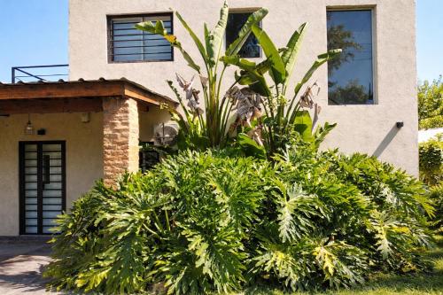 Quinta Hermosa en Gral Rodriguez in 大洛特里基斯