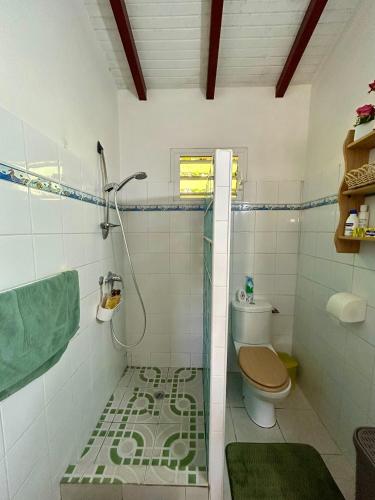ห้องน้ำ, Le Jardin Créole Gîte chaleureux à Trois-Rivières (Le Jardin Creole Gite chaleureux a Trois-Rivieres) in ทรัว-ริวิเยร์
