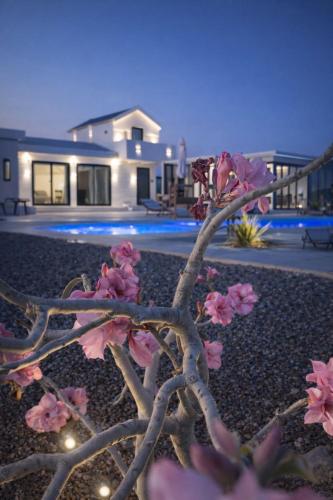 Vườn, Diem View in Al Ain