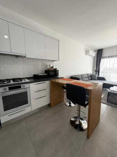 virtuve, Caesar Resort & SPA & Apartments Spacious Studio in Xylophaghou
