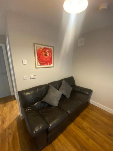 ulsterville cosy apartment 5 min walk from city center STRICTLY OVER 25 ONLY