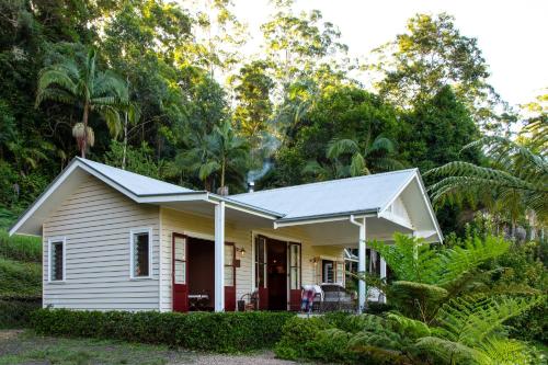 Nightcap Ridge - Byron Bay Hinterland - Gold Coast