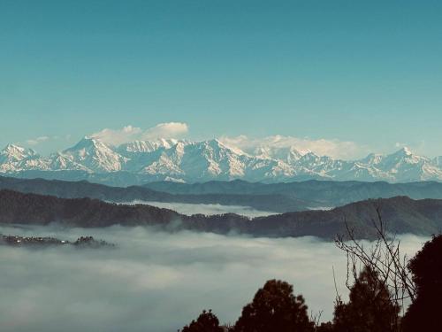 Cảnh quan, Bloom Nest Almora Kasar Devi in Thị trấn Almora