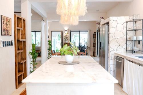 Facilities, Villa Chakaruna Private Home and Pool Paradise in San Francisco