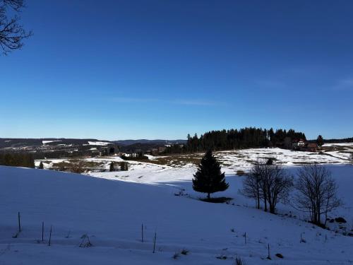Kilátás, Naturfreundehaus Fahrenberg in Breitnau