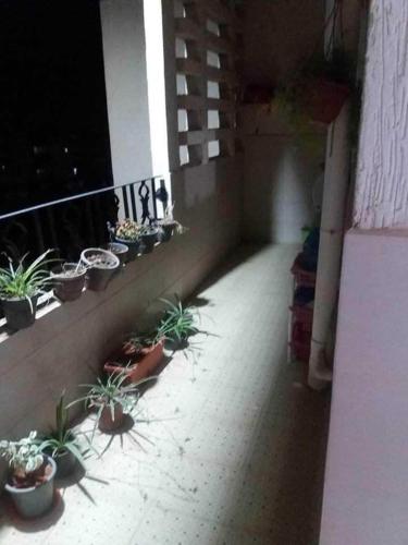 Appartement hayet regency in Bir El Djir