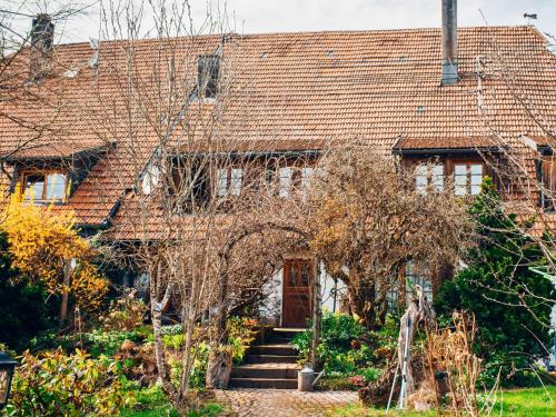 Schweizerblick - Denkmalgeschützes Haus in ruhiger Lage - großer Garten und mit Charme eingerichtet - ideal für Familien mit kleinen Kindern, Familien mit 1-2 Hunden in Hänner, Deutschland
