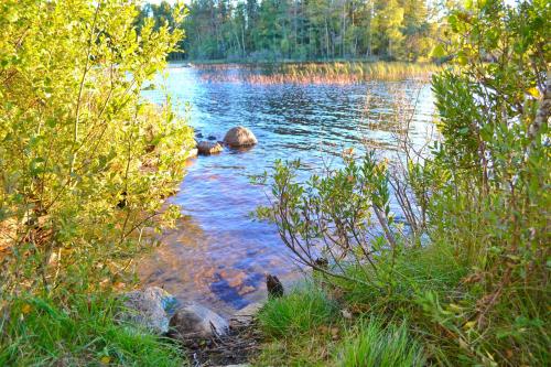 Omgivningar, "Hasselbacken" in Vimmerby