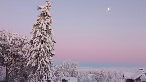 Family Room with Garden View