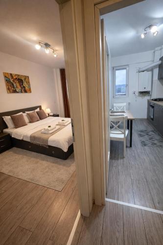 Two Souls Studio - Apartment - Iaşi