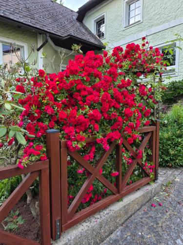 Garden, Ferienwohnung Schmid in Haslach An Der Muhl