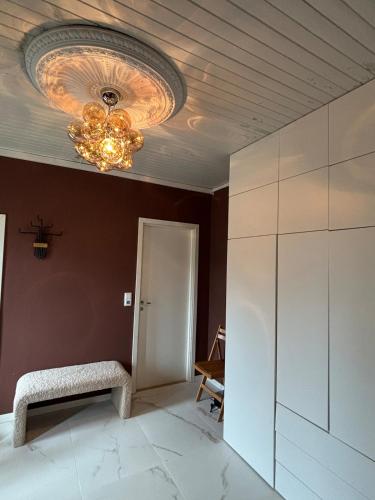 Charming newly renovated house in city centre