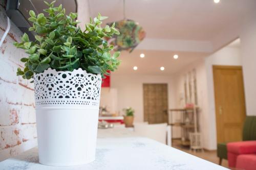 Apartamentos Sevilla Palace - image 2