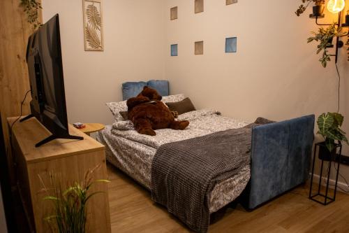 1 queen bed, 1 sofa bed