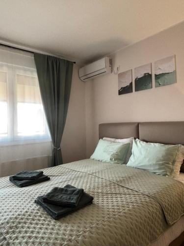 Apartman Panorama in Temerin