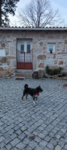 Mourisco Guest House in 阿里右