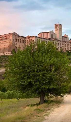 Locazione Turistica Santa Chiara - image 5