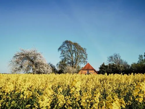 Modernity In Farmhouse With Lagoon View in Ummanz, Deutschland