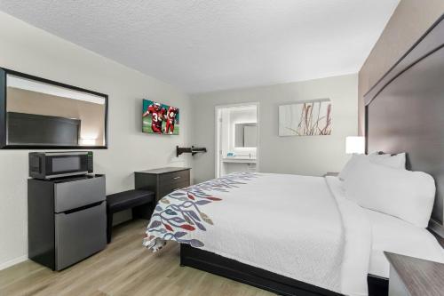 1 king bed