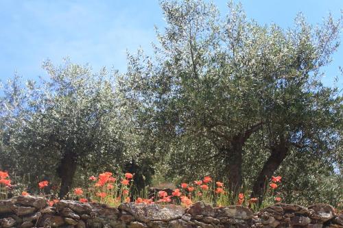 ทัศนียภาพภายนอกโรงแรม, Casa da Bela Vista in อลิโย