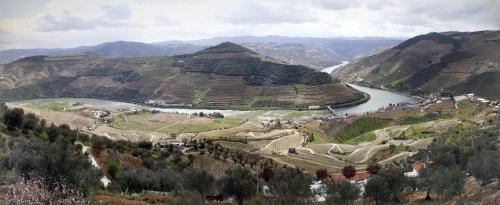 ทัศนียภาพภายนอกโรงแรม, Casa da Bela Vista in อลิโย