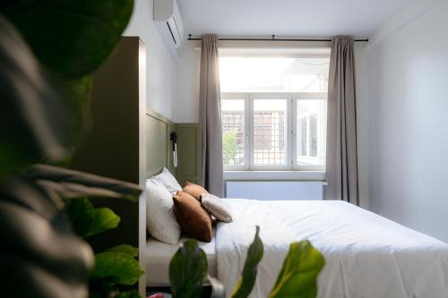 Cathedral view apartment, Amberes (foto 3)