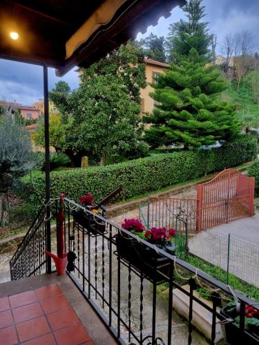 外部景觀, Casa Vacanze il Cigno in 韋萊特里