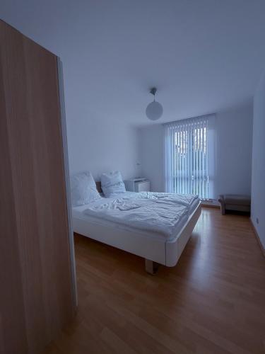Wohnung in der Südvorstadt (Wohnung in der Sudvorstadt) in Plauen