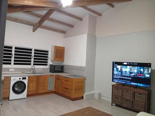 T2 tele 60 pouces Netflix clim Induction lave vaisselle in Saint-Joseph
