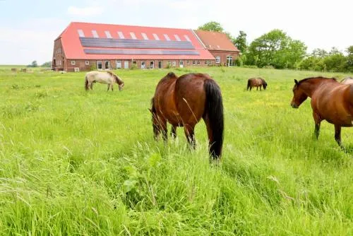 Sömmerland, Exklusive 4-Sterne-FeWo von 2024, Sonnenterrasse, 150 m zur Nordsee, eigener Zugang in Neuharlingersiel, Deutschland