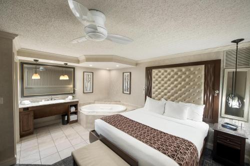 1 sofa bed