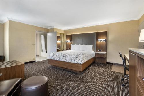 Best Western Airpark Hotel - Los Angeles LAX Airport - image 35