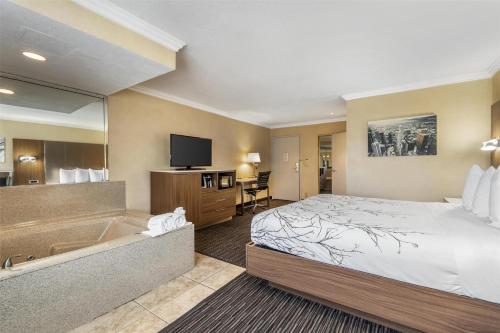 Best Western Airpark Hotel - Los Angeles LAX Airport - image 17