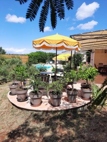 Villa les citronniers in Colonzelle