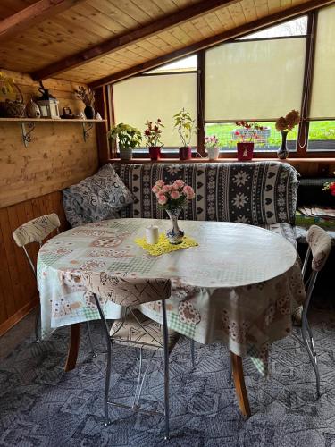 共用Lounge/電視區, Ubytování u Marušky (Ubytovani u Marusky) in 茲迪科夫