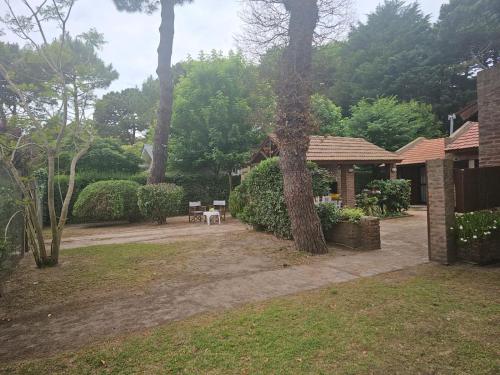 Entre el bosque y el mar