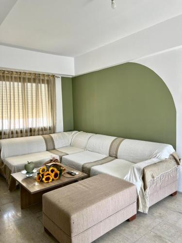 Comfortable and Fresh Apartment in Ariana