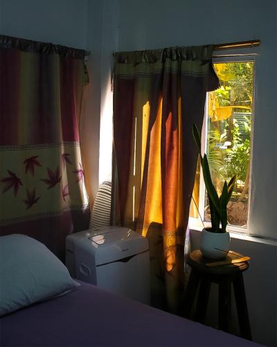 . PAUI Rooms