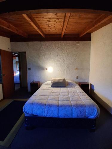 Casa Cedro