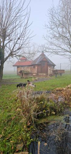Nuit insolite, repas autour du feu piscine sauna jaccuzi gîte à louer Glonville
