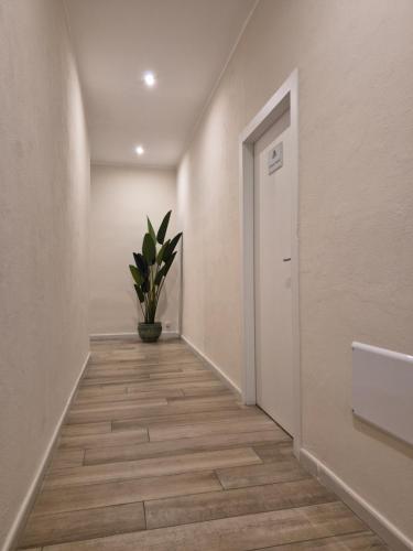 Seaside Holidays Guest House in Pivarada